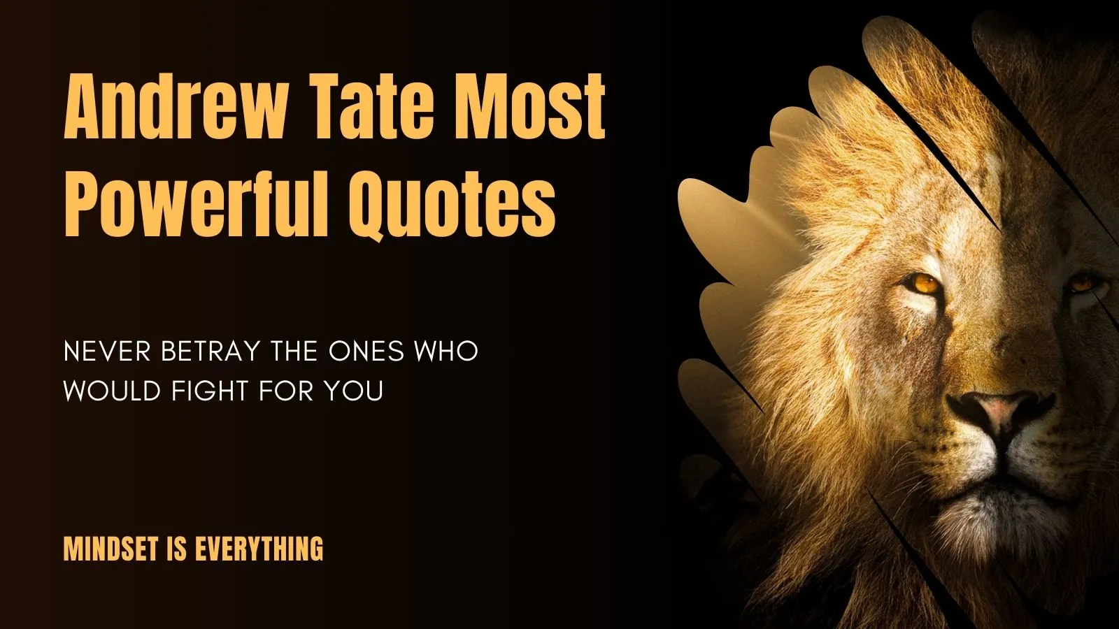 Andrew Tate Most Powerful Quotes