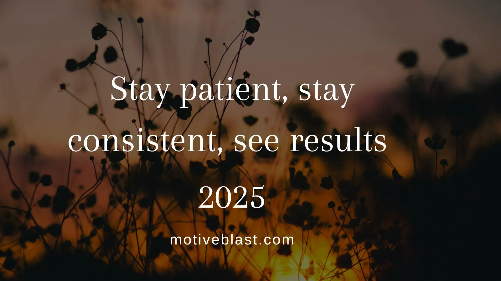 Consistency Quotes