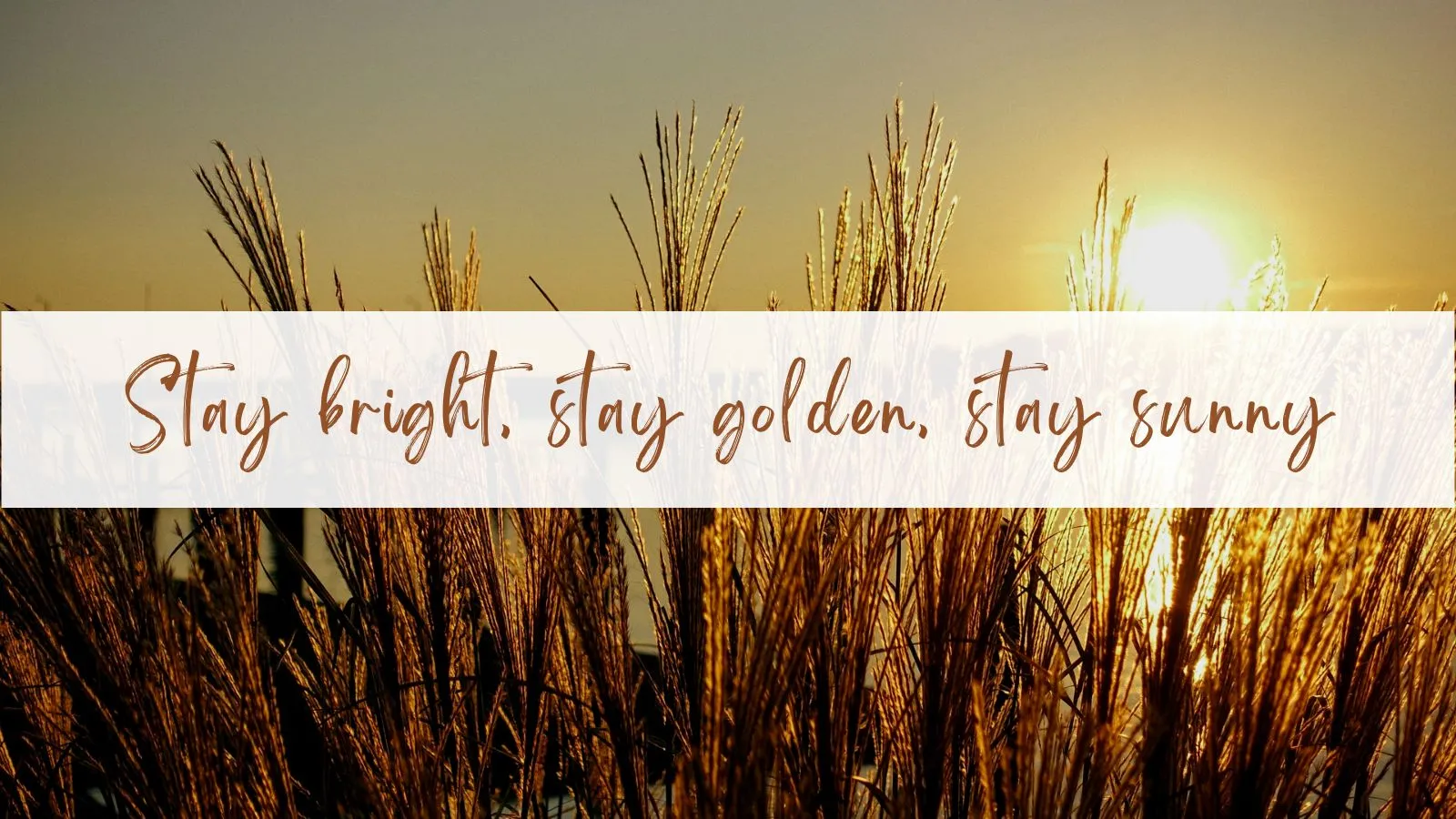 Sunshine Quotes for Instagram