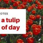 160+ Sunday Blessings Quotes To Fill Your Day With Peace