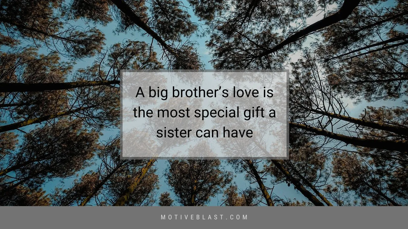 Big Brother Quotes from Sister
