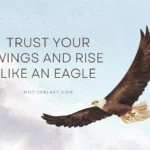 160+ Powerful Feeling Lost Quotes To Inspire Hope And Clarity
