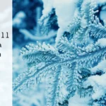 173+ Good Morning God Quotes to Start Your Day with Faith (2025)