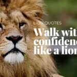 199+ Horse Quotes That Capture the Spirit of Freedom (2025)