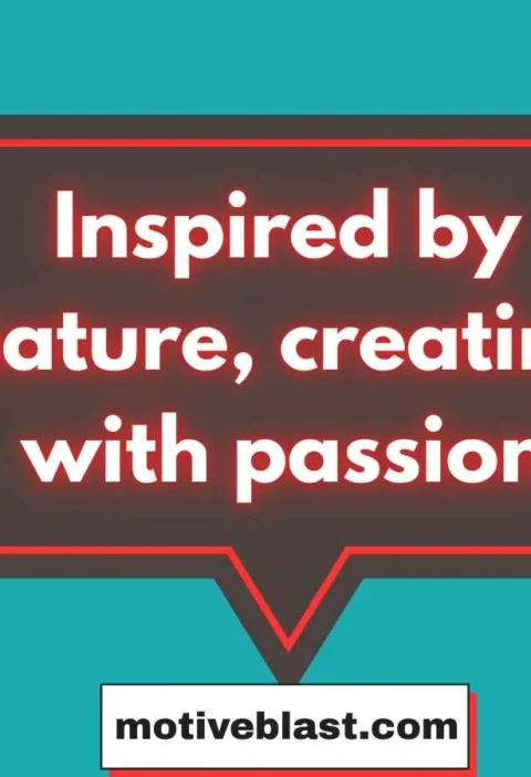 Artist Bio On Instagram
