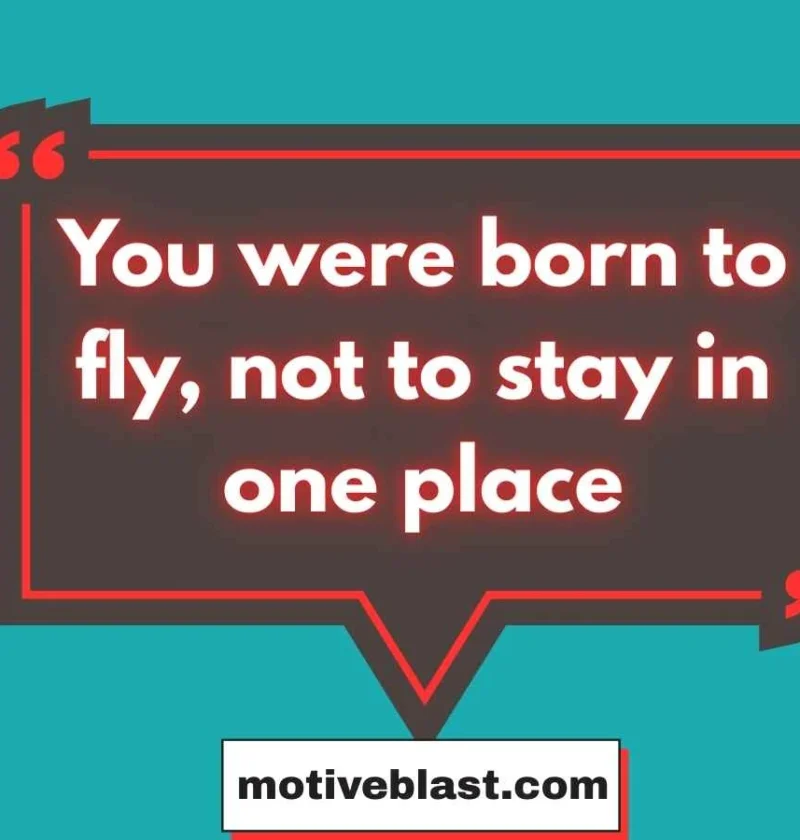 Butterfly Quotes