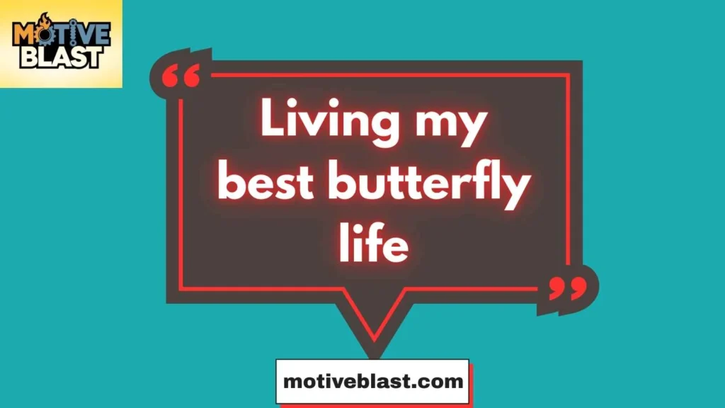 Butterfly Quotes For Instagram